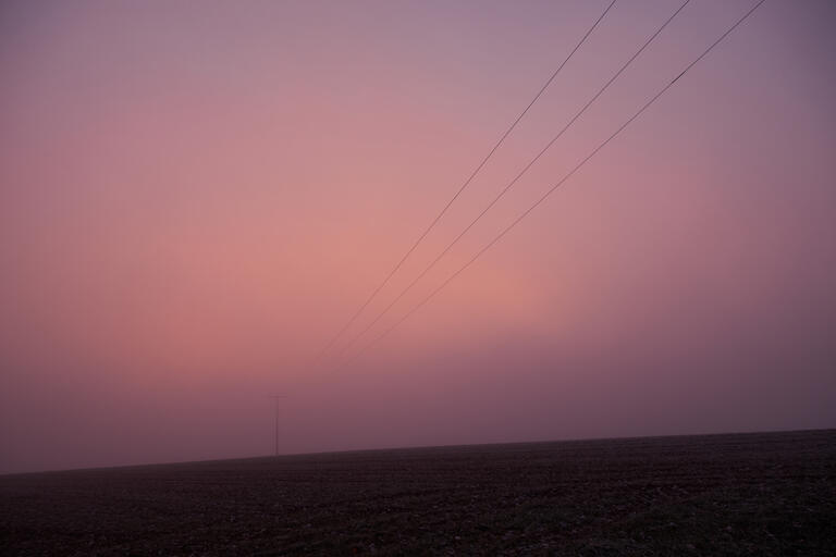 Nebel auf dem Galgenberg II